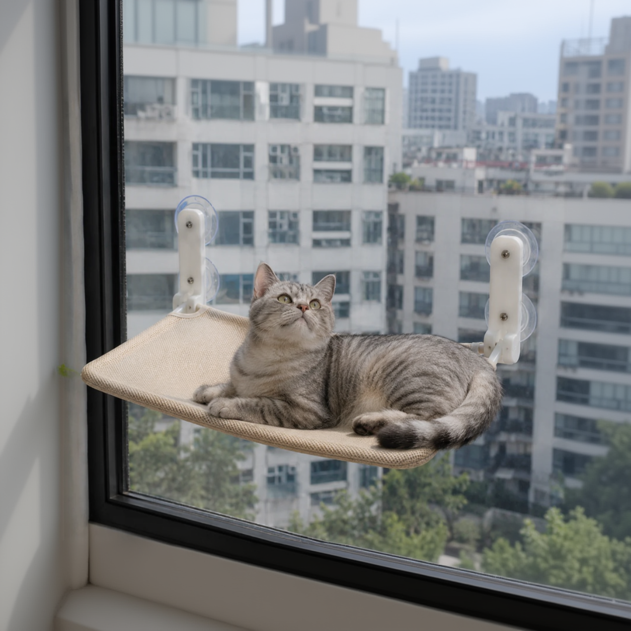 Natural Wood Window Perch