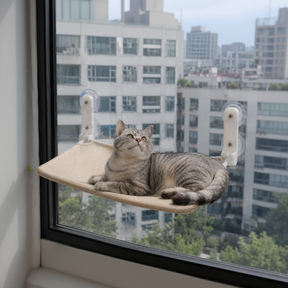 Natural Wood Window Perch